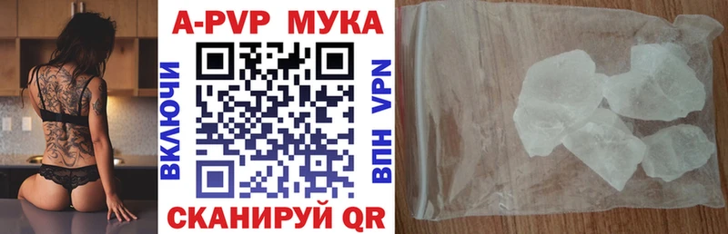 закладки  Лермонтов  А ПВП СК 