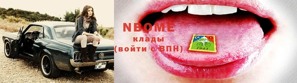 ГАЛЛЮЦИНОГЕННЫЕ ГРИБЫ Тайга