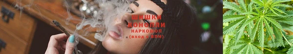 стафф Бронницы