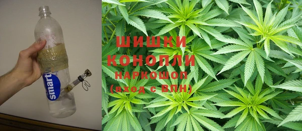 эйфоретик Бородино