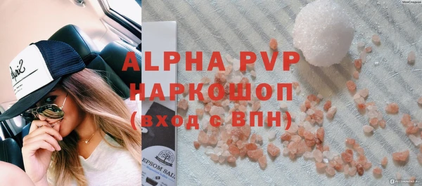 эйфоретик Бородино