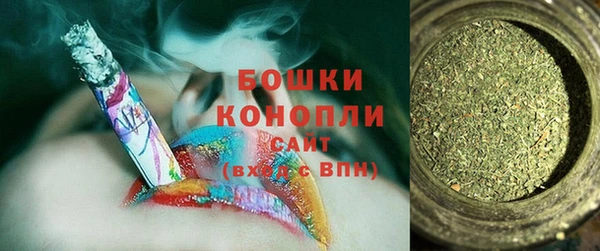 эйфоретик Бородино