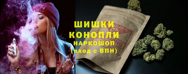 эйфоретик Бородино